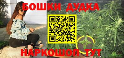 круглые Бийск